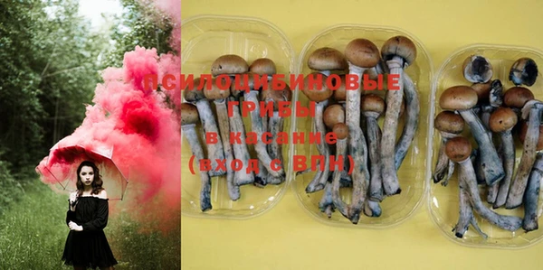 PSILOCYBIN Белоозёрский