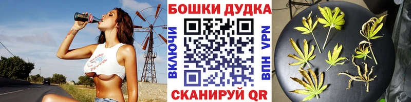 Купить  Кореновск  Каннабис план 